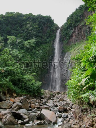 Karaibów wodospad bujny roślinność wyspa rzeki Zdjęcia stock © prill