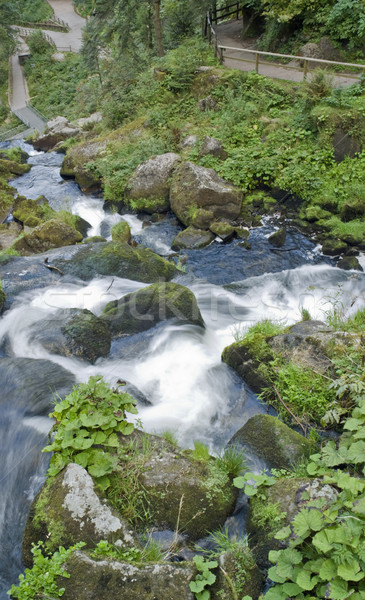 idyllic Triberg Waterfalls Stock photo © prill