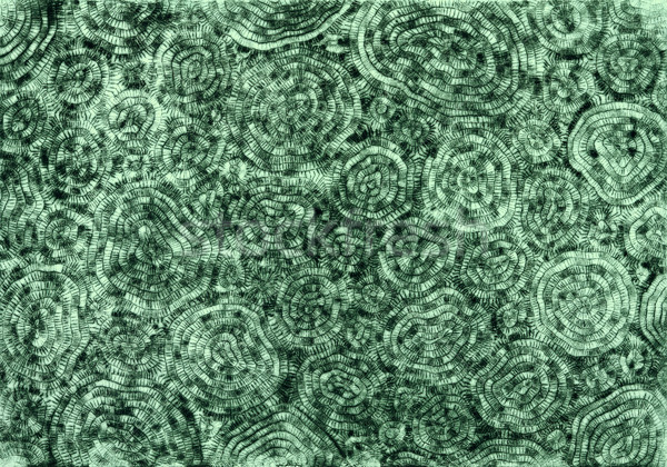 Verde movimentato abstract tradizionale asciugare punto Foto d'archivio © prill