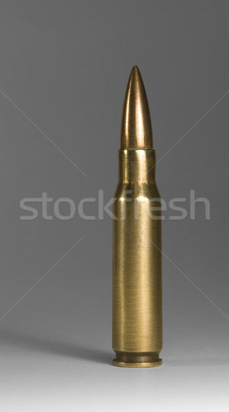 upright metallic ammunition in grey back Stock photo © prill