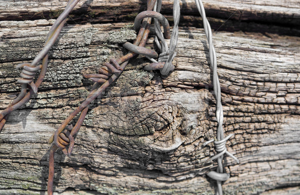 древесины колючую проволоку полный кадр фон металл текстура древесины Сток-фото © prill