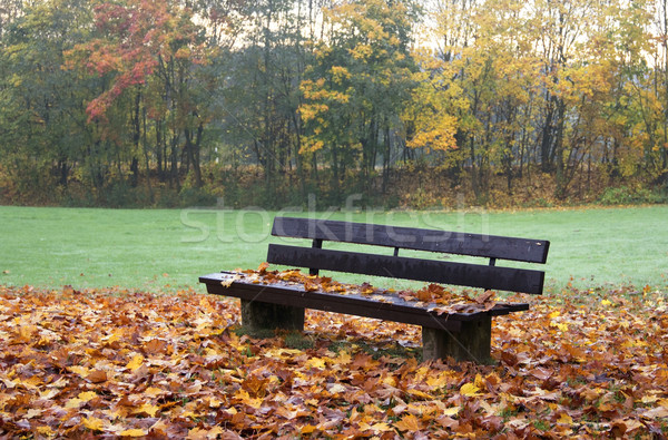 wooden bench Stock photo © prill