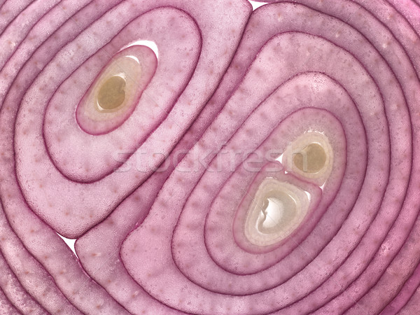 sliced shallot Stock photo © prill
