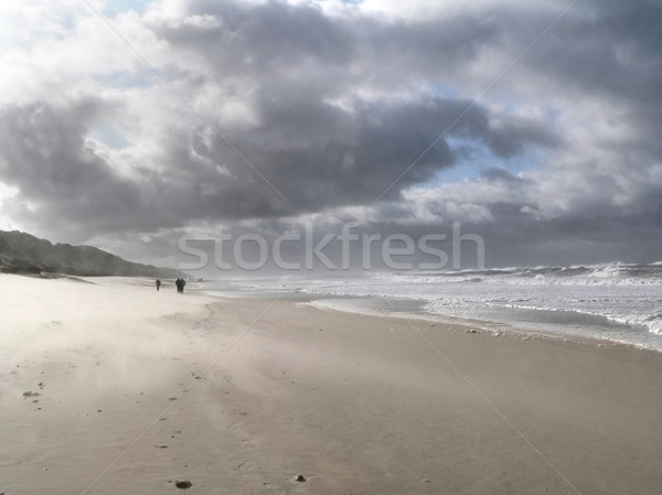 Strand landschap noordelijk Duitsland bewolkt avond Stockfoto © prill