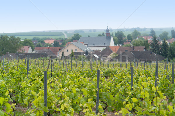 Rheinhessen Stock photo © prill