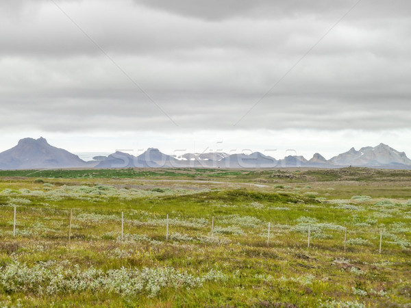 landscape in Iceland Stock photo © prill