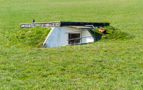 overgrown bunker Stock photo © prill