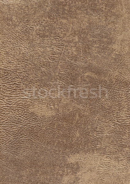 Tam kare deri soyut kahverengi bağbozumu model Stok fotoğraf © prill