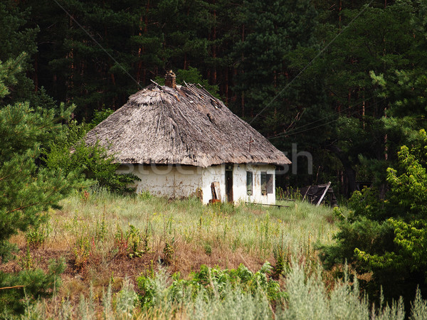 Old uninhabited house Stock photo © Pruser