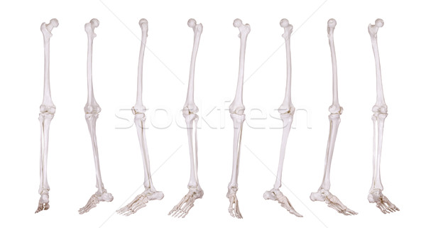 Detail skelet been ziekenhuis geneeskunde wetenschap Stockfoto © pterwort