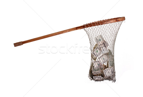 fishnet with dollars Stock photo © pterwort