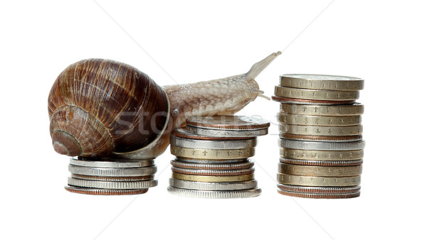 snail climbing coins Stock photo © pterwort