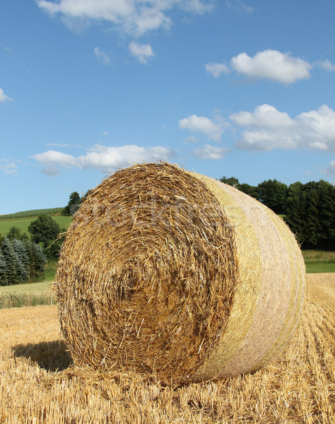 Stock photo: bale of straw in front of blue sky