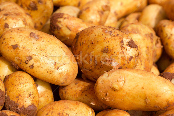 Taze patates biyolojik çiftçiler pazar bahar Stok fotoğraf © pterwort