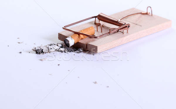 cigarette on mousetrap Stock photo © pterwort