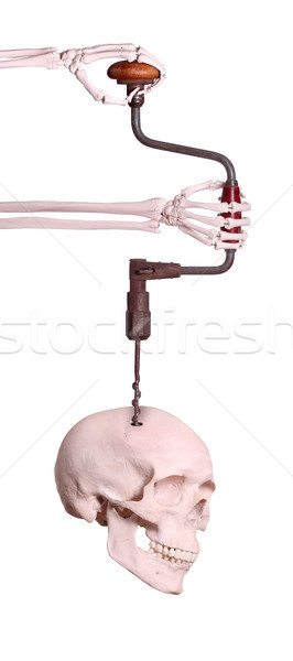 skeleton hands drill with hand brace in skull Stock photo © pterwort