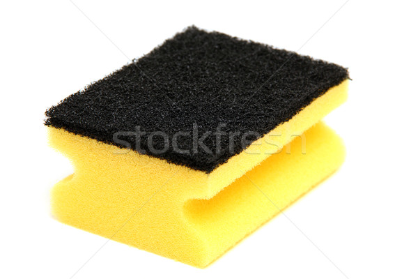 sponge Stock photo © pterwort