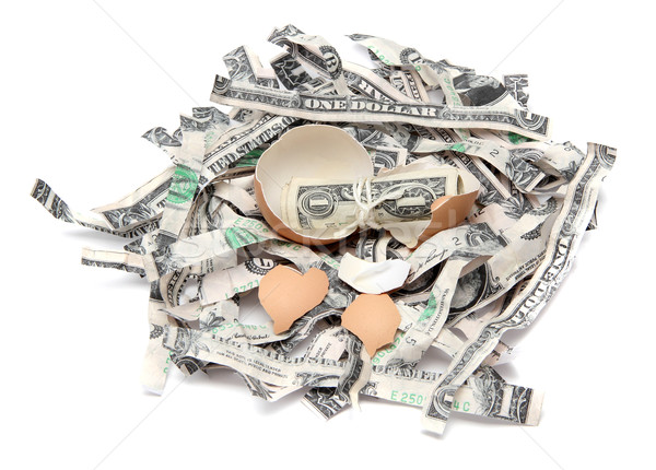shredded dollar banknotes with egg Stock photo © pterwort