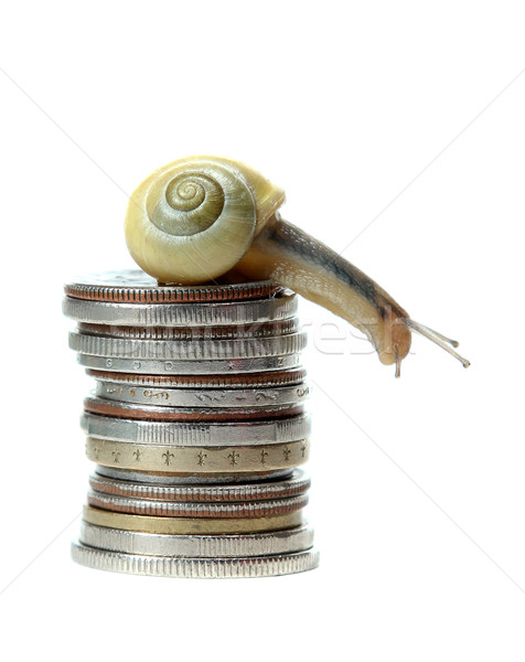 snail on top of coins Stock photo © pterwort