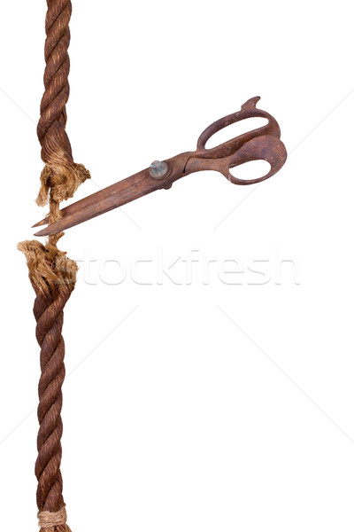 very old robe cutting by aged scissors Stock photo © pterwort