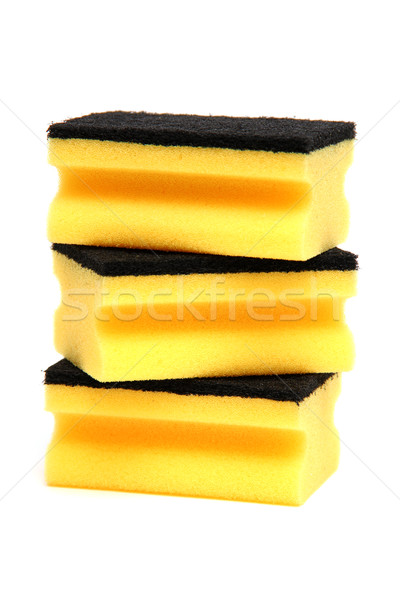 sponge Stock photo © pterwort