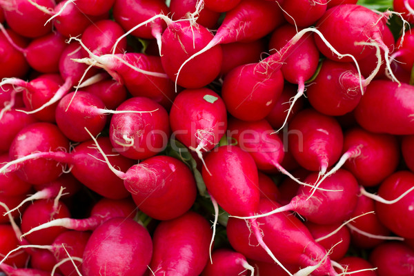 fresh red radish Stock photo © pterwort