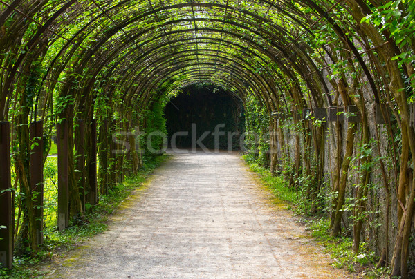 green access balcony Stock photo © pterwort