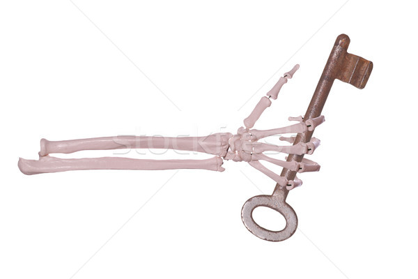 Szkielet strony zardzewiałe kluczowych ciało metal Zdjęcia stock © pterwort