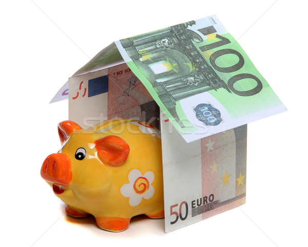 house of european money and piggy bank Stock photo © pterwort