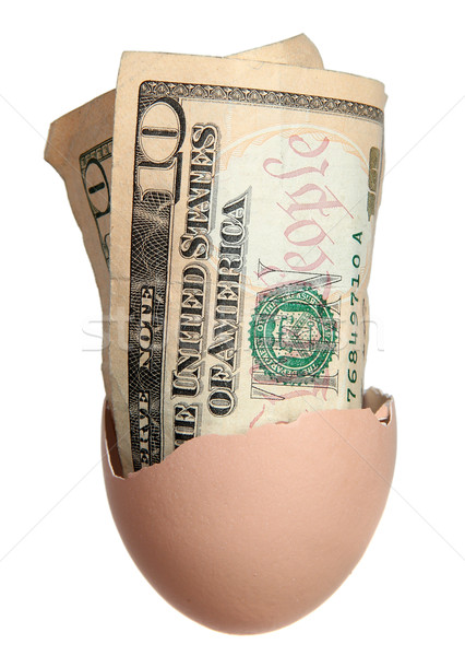 dollar bank notes in egg Stock photo © pterwort