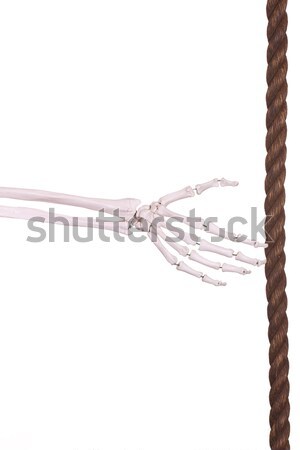 count 3- hand of bones Stock photo © pterwort