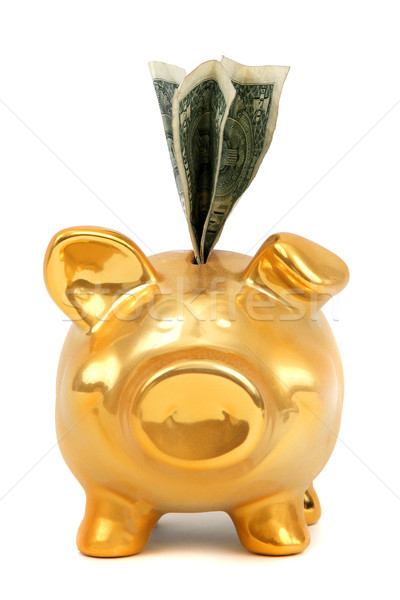 dollar notes and golden piggy bank Stock photo © pterwort