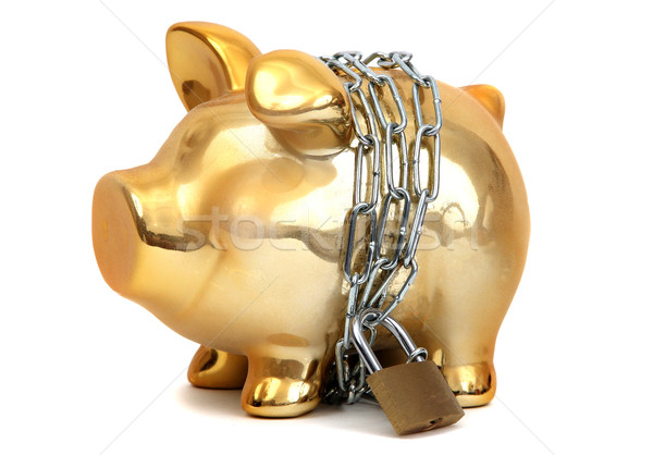Geschützt Sparschwein Bank Kette Schwein Münzen Stock foto © pterwort
