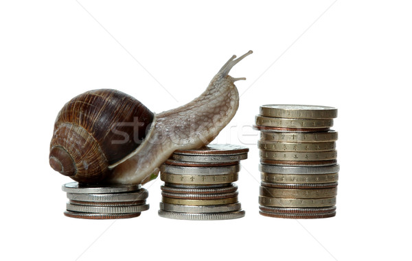 snail scrambles coins Stock photo © pterwort