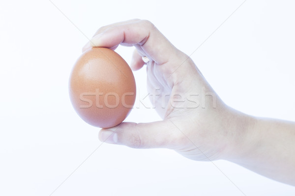 Hand holding egg isolated on white background Stock photo © punsayaporn
