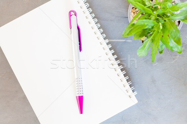 Notepad, pen and green plant on grey background Stock photo © punsayaporn