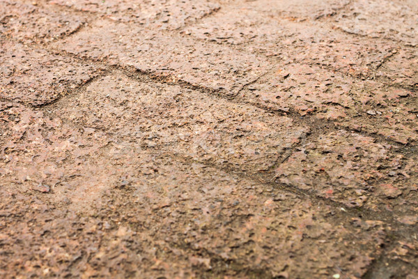 The pattern of laterite walkway in the park Stock photo © punsayaporn