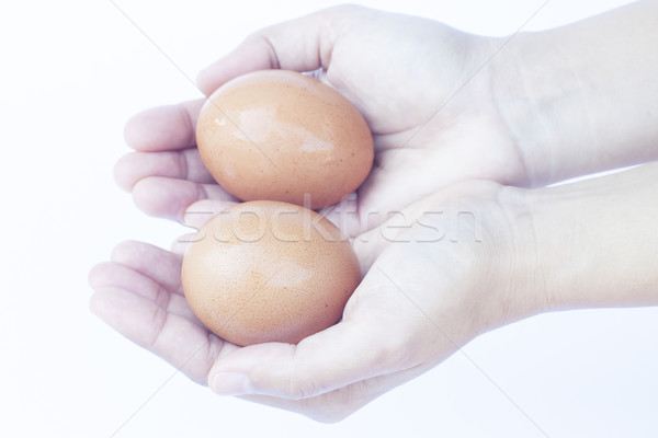 Hand holding eggs isolated on white background isolated on white Stock photo © punsayaporn