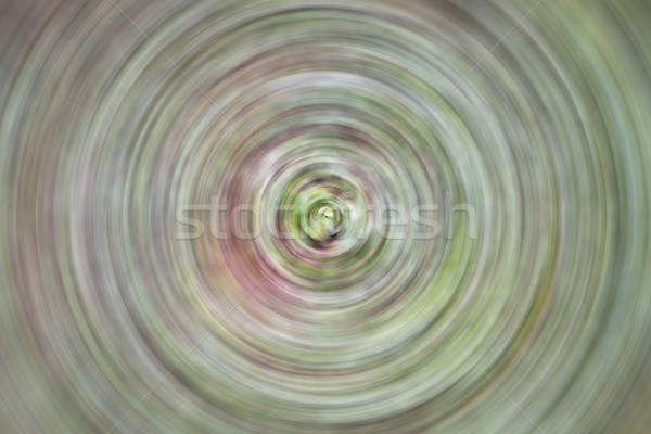 Abstract radial blur background from green leaves Stock photo © punsayaporn
