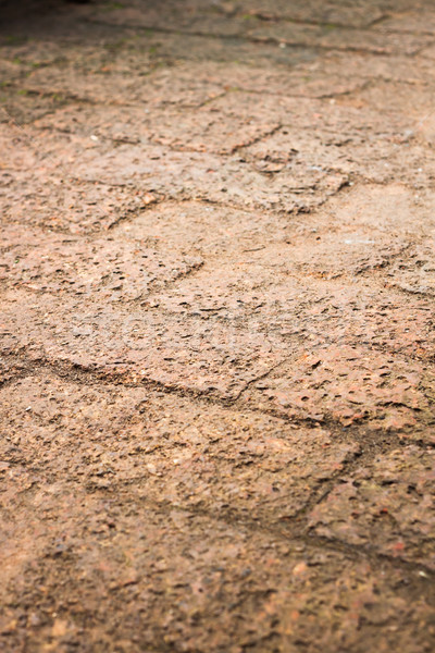 The pattern of laterite walkway in the park Stock photo © punsayaporn