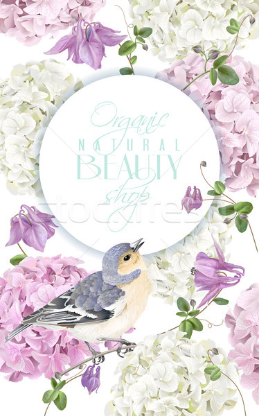 Vogel logo vector verticaal banner bel Stockfoto © PurpleBird