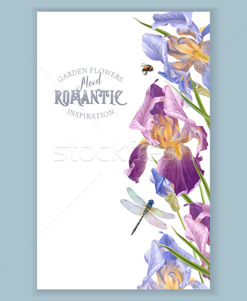 Iris verticaal grens vector vintage botanisch Stockfoto © PurpleBird