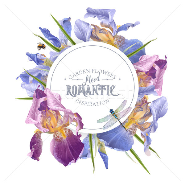 Tęczówki banner wektora vintage kwiaty Zdjęcia stock © PurpleBird