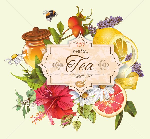 Vektor klasszikus gyógynövény tea szalag méz rózsa Stock fotó © PurpleBird
