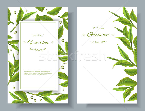 Groene thee banners vector thee bladeren druppels Stockfoto © PurpleBird