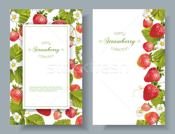 Aardbei verticaal banners vector witte ontwerp Stockfoto © PurpleBird