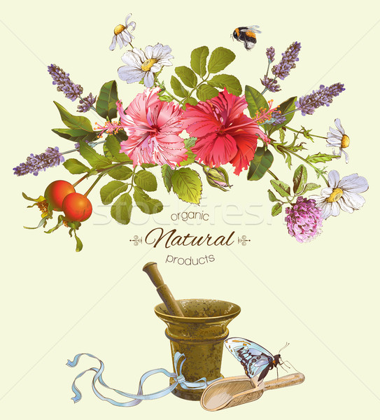 Vector vintage natuurlijke producten banner hibiscus Stockfoto © PurpleBird