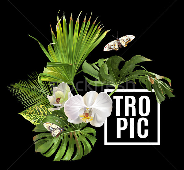 Trópusi növények szalag vektor botanikus trópusi Stock fotó © PurpleBird