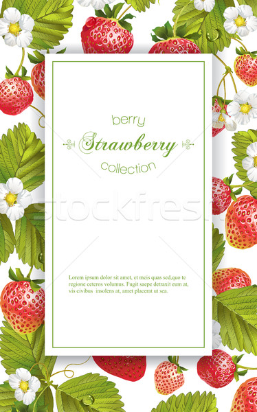 Aardbei verticaal banner vector ontwerp thee Stockfoto © PurpleBird