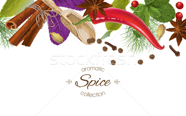 Fűszer vízszintes szalag vektor különböző fehér Stock fotó © PurpleBird